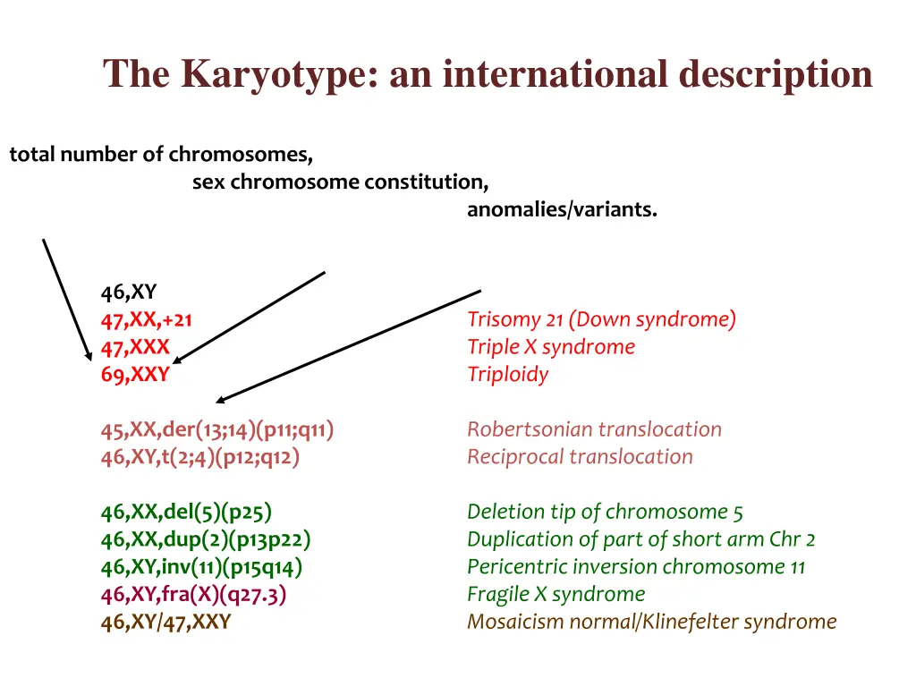 the karyotype an international description