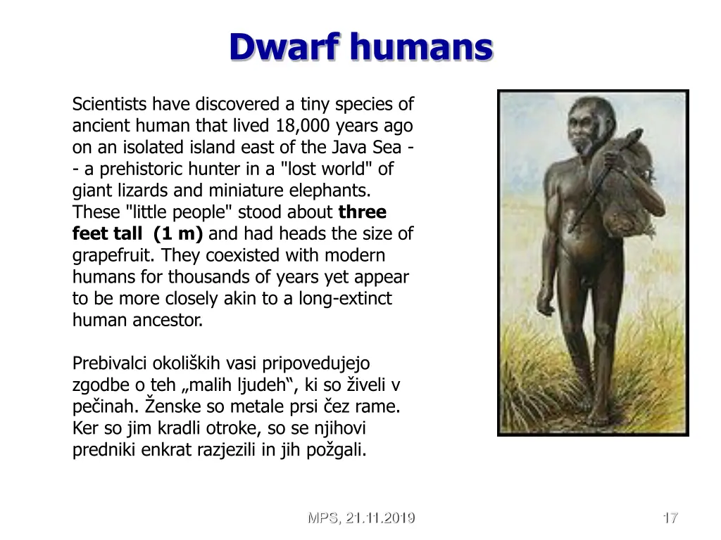 dwarf humans
