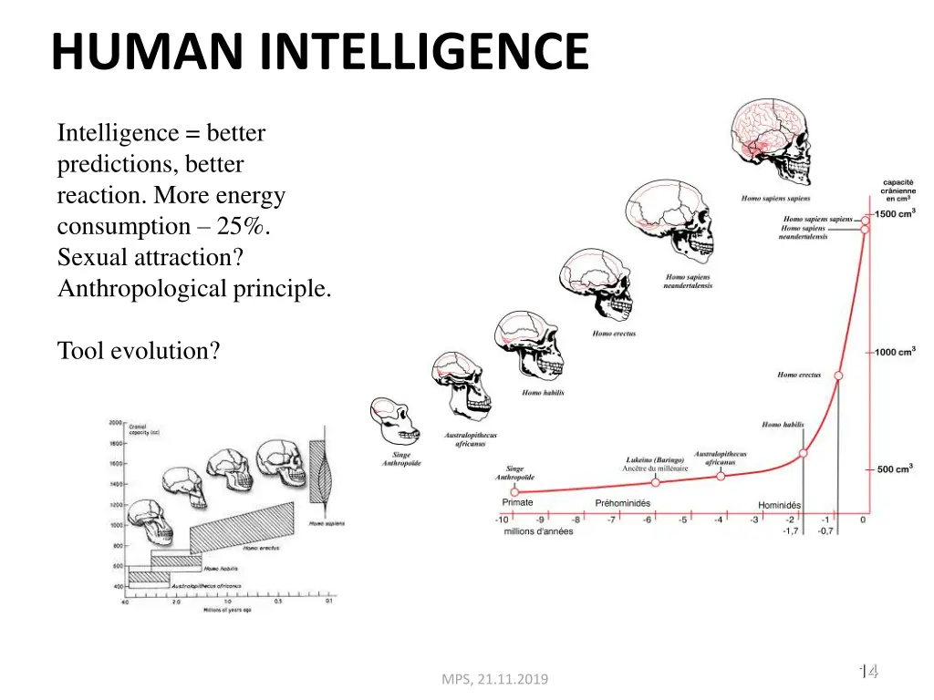 human intelligence