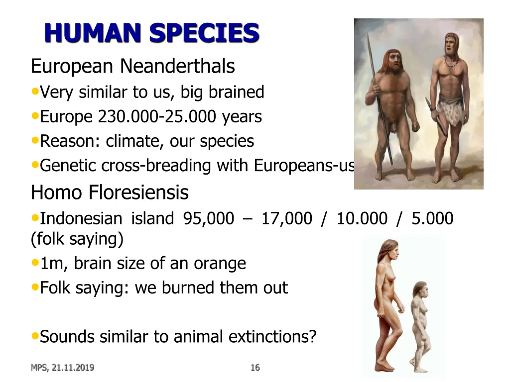 human species european neanderthals very similar