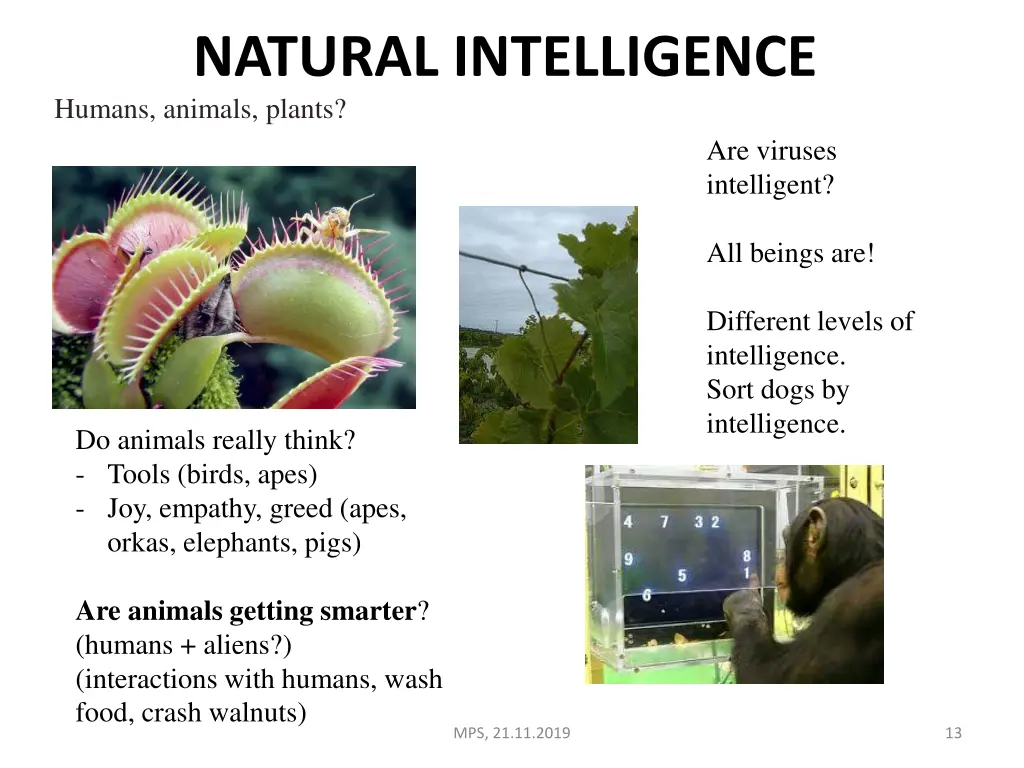 natural intelligence humans animals plants