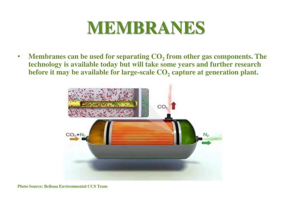 membranes
