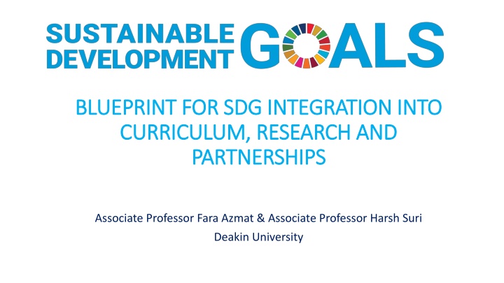 blueprint for sdg integration into blueprint