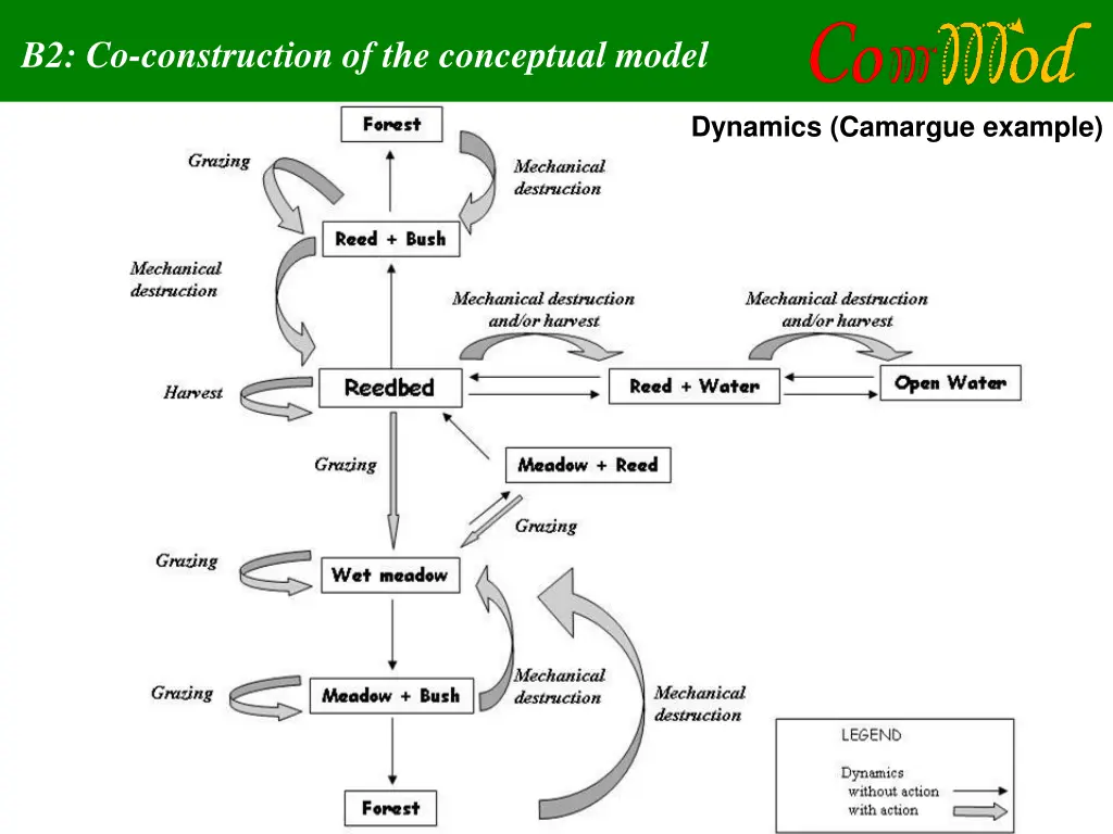 b2 co construction of the conceptual model 5