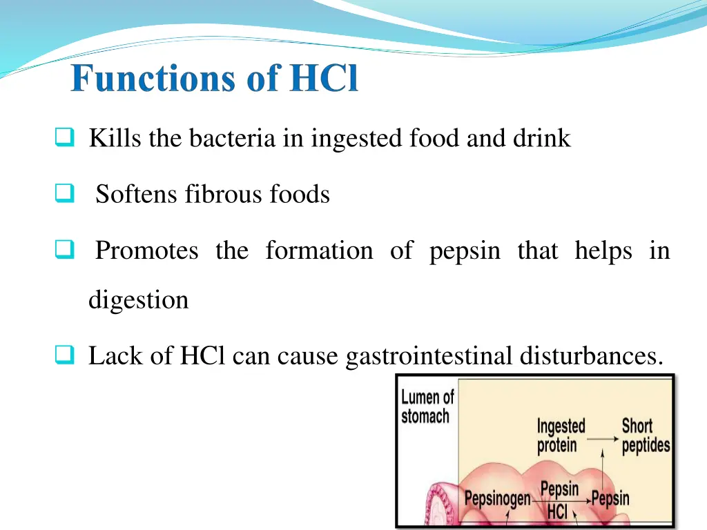 kills the bacteria in ingested food and drink