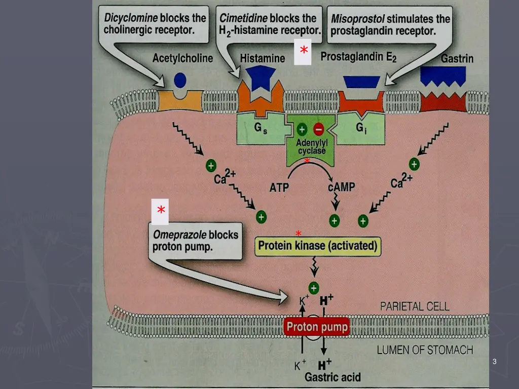 slide3
