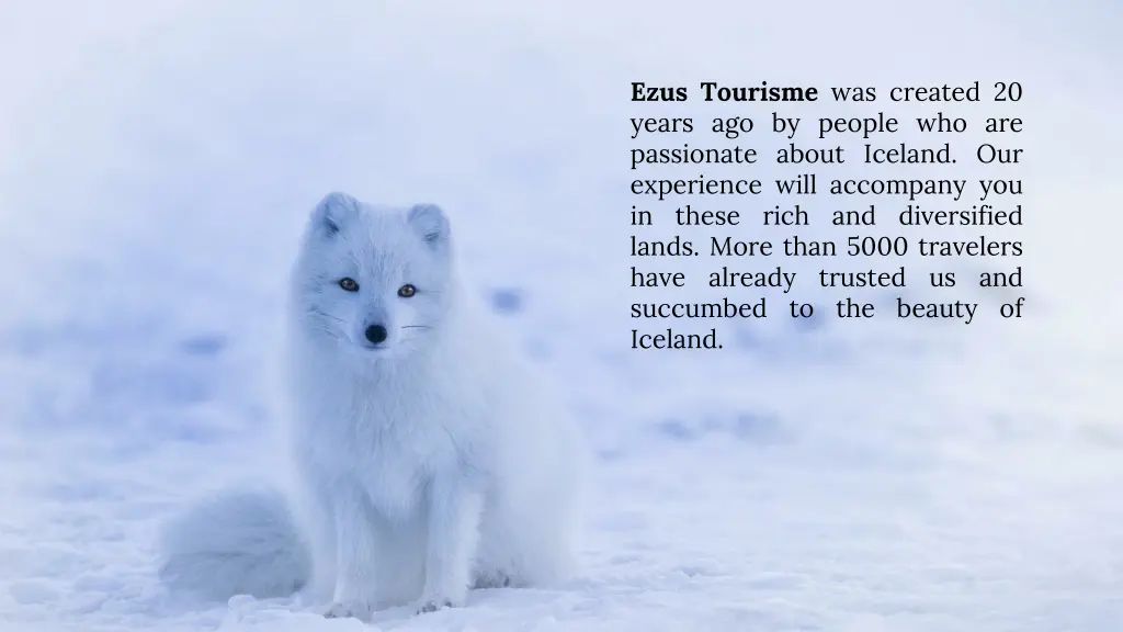 ezus tourisme was created 20 years ago by people