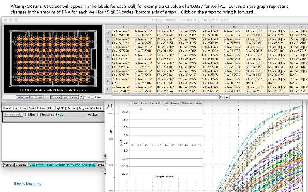 after qpcr runs ct values will appear