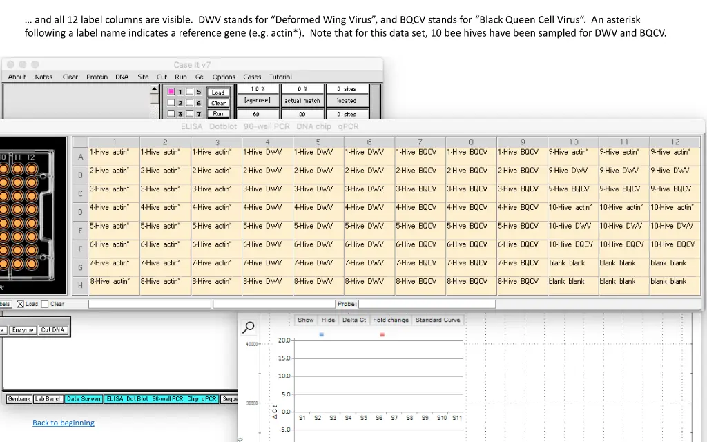 and all 12 label columns are visible dwv stands