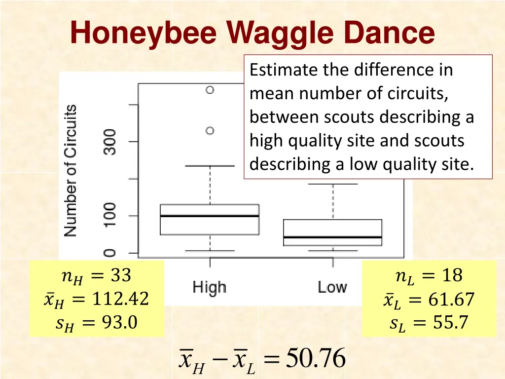 honeybee waggle dance