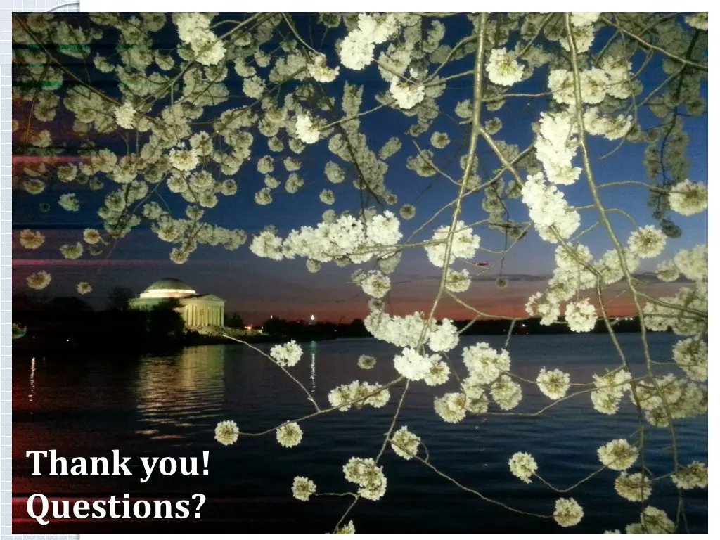 thank you questions