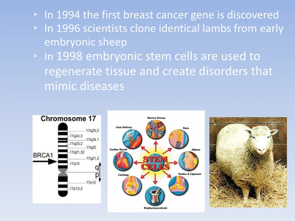 in 1994 the first breast cancer gene