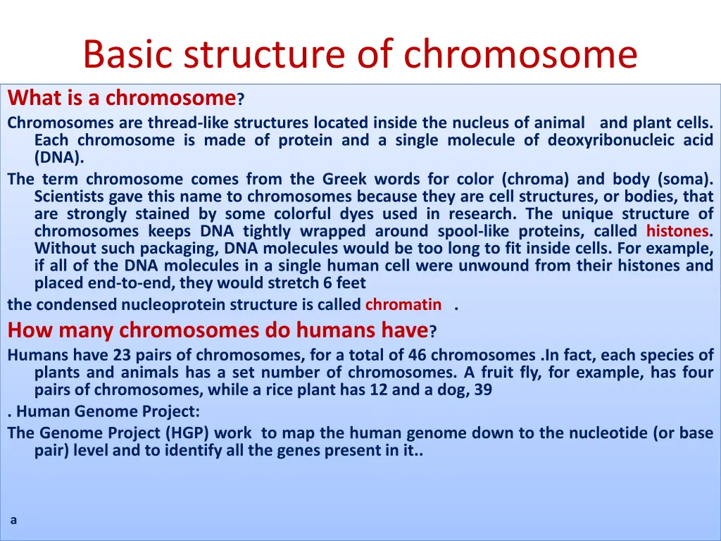 basic structure of chromosome what