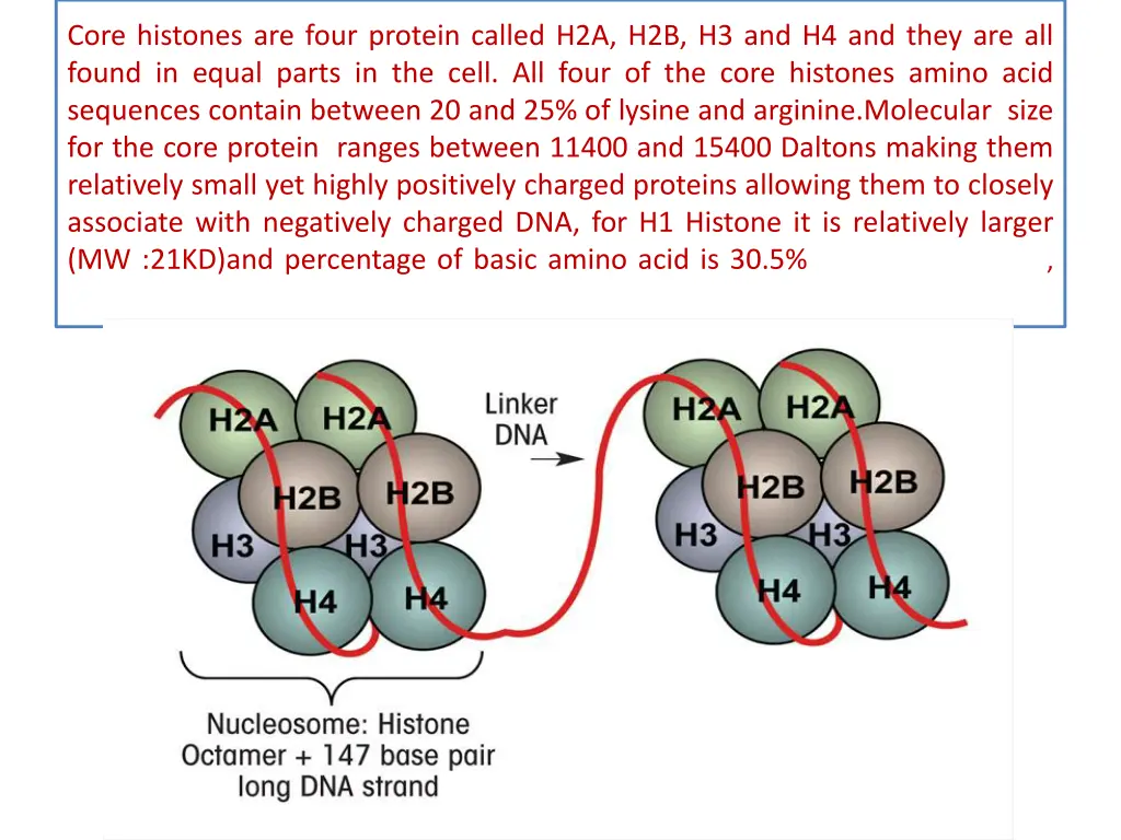 core histones are four protein called