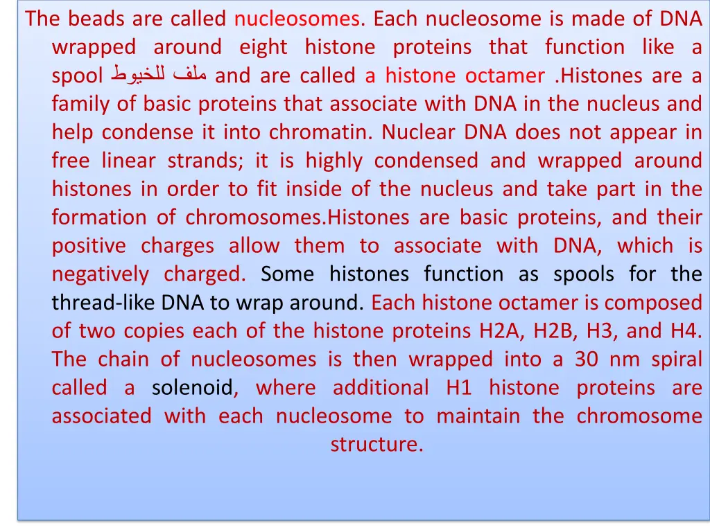 the beads are called nucleosomes each nucleosome