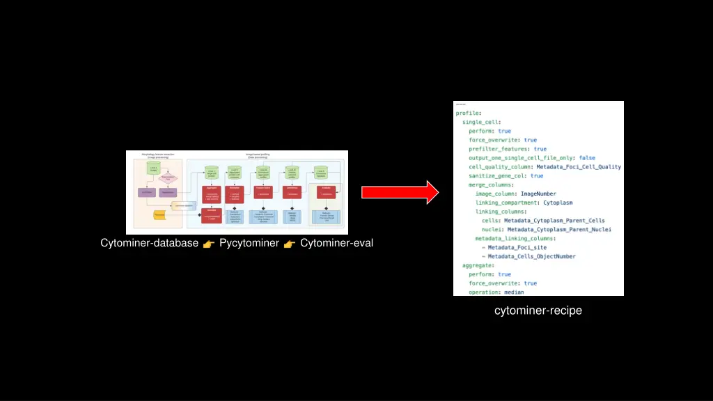 cytominer database 1