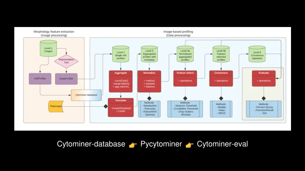 cytominer database
