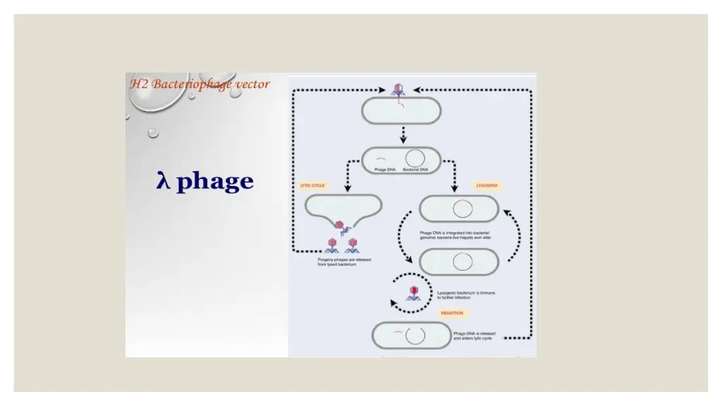 slide12