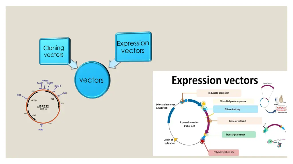 slide4