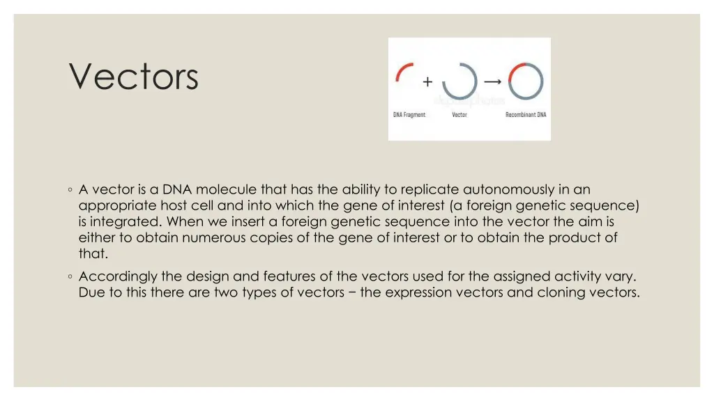 vectors