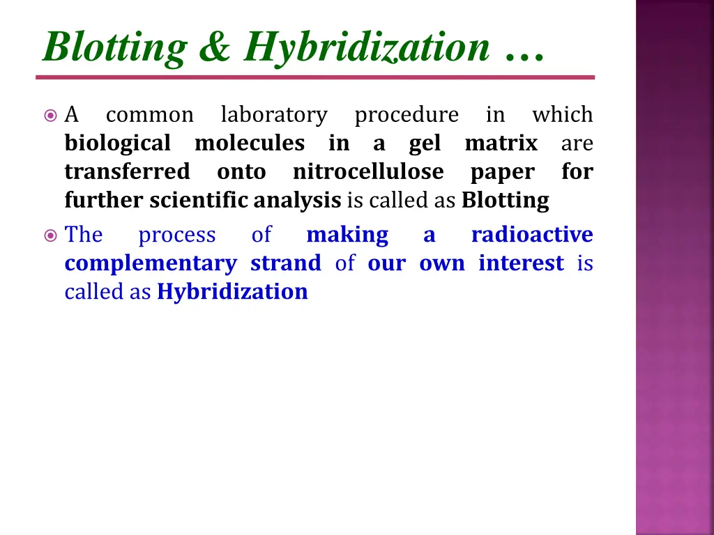 blotting hybridization