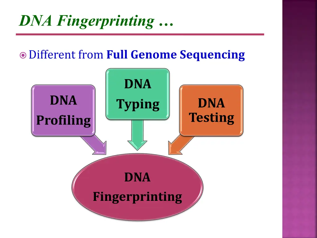 dna fingerprinting