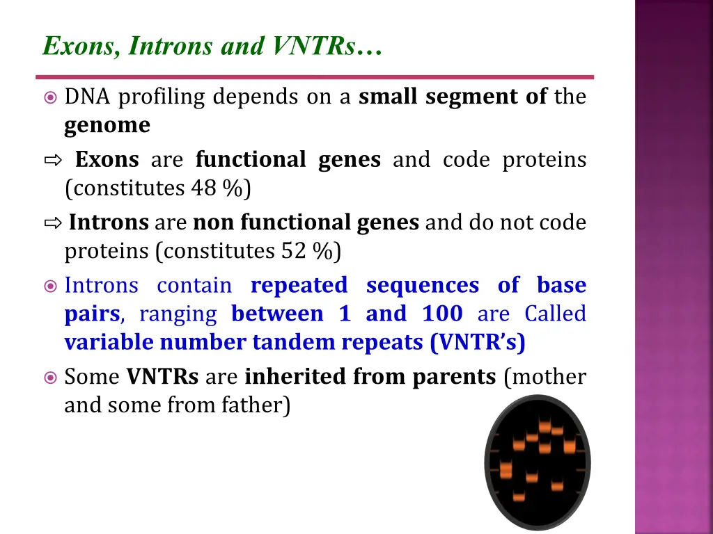exons introns and vntrs