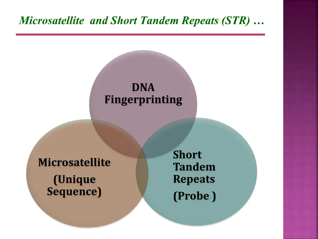 microsatellite and short tandem repeats str