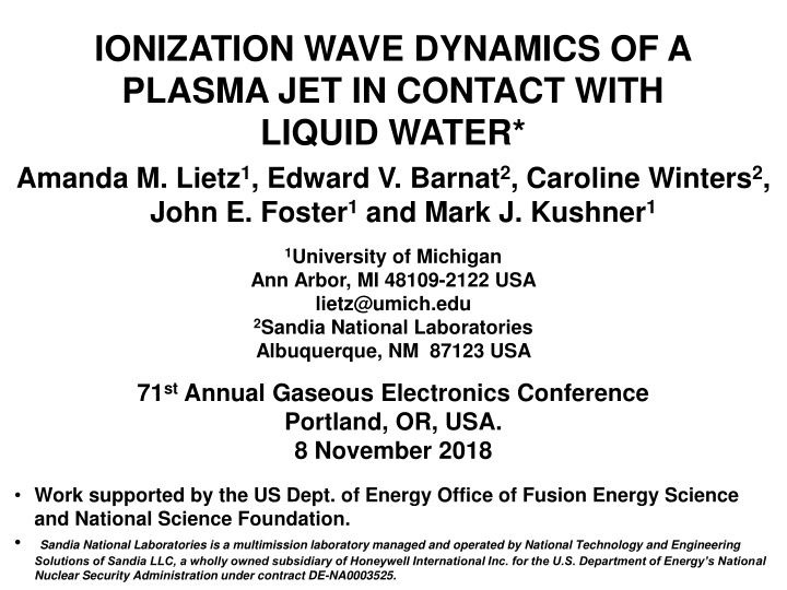 ionization wave dynamics of a plasma