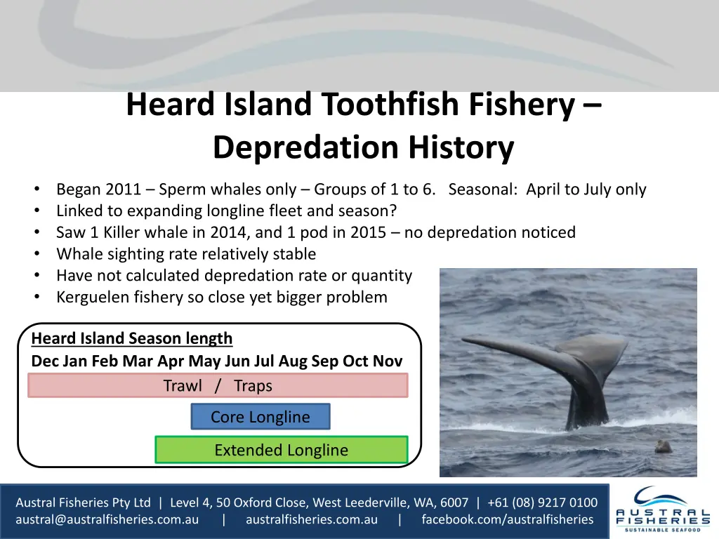heard island toothfish fishery depredation history