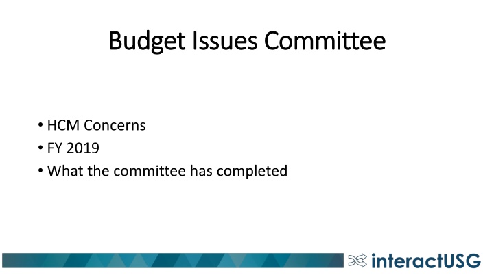 budget issues committee budget issues committee