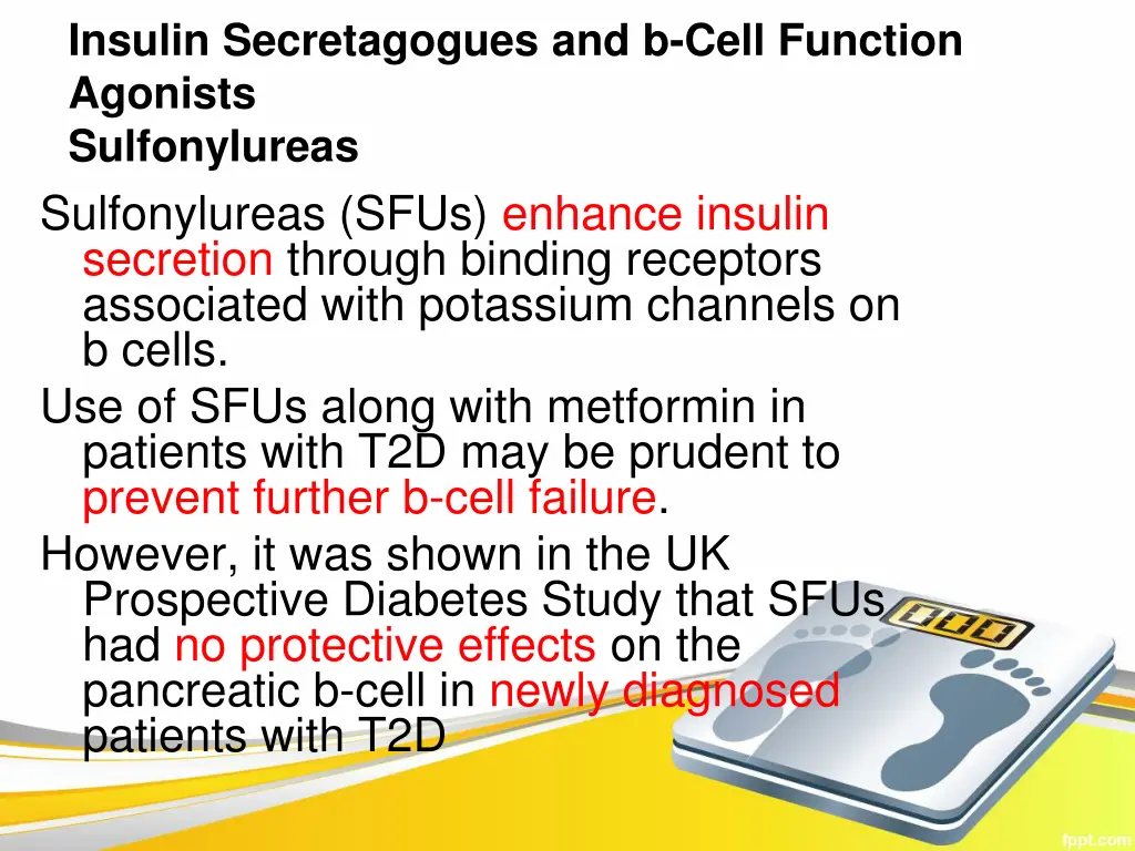 insulin secretagogues and b cell function