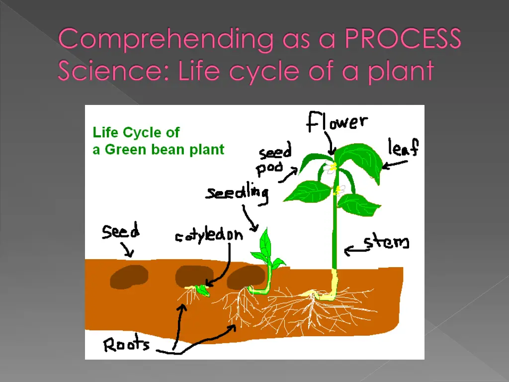 comprehending as a process science life cycle