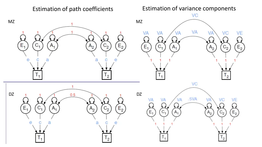 estimation of variance components