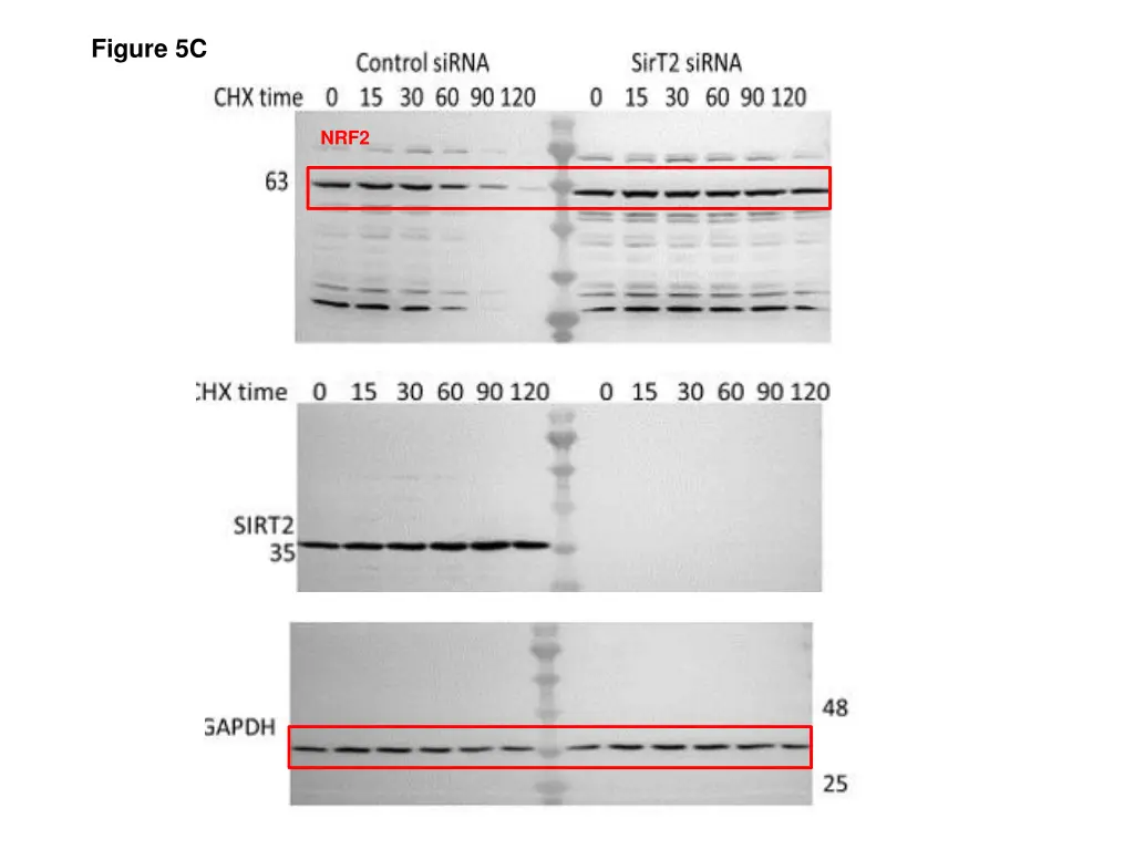 figure 5c