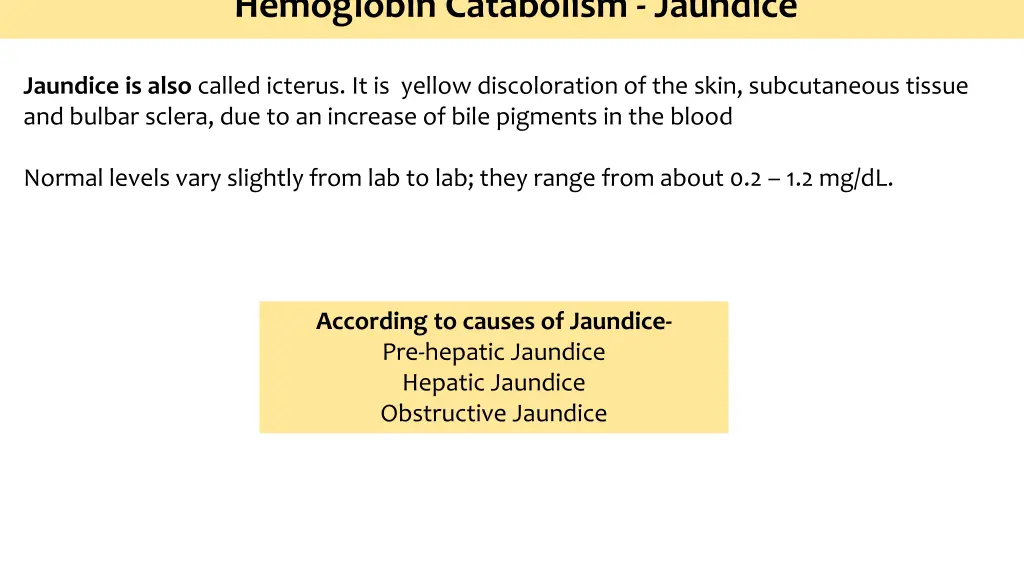 hemoglobin catabolism jaundice