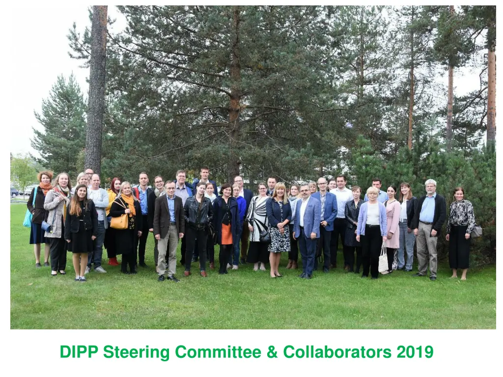 dipp steering committee collaborators 2019