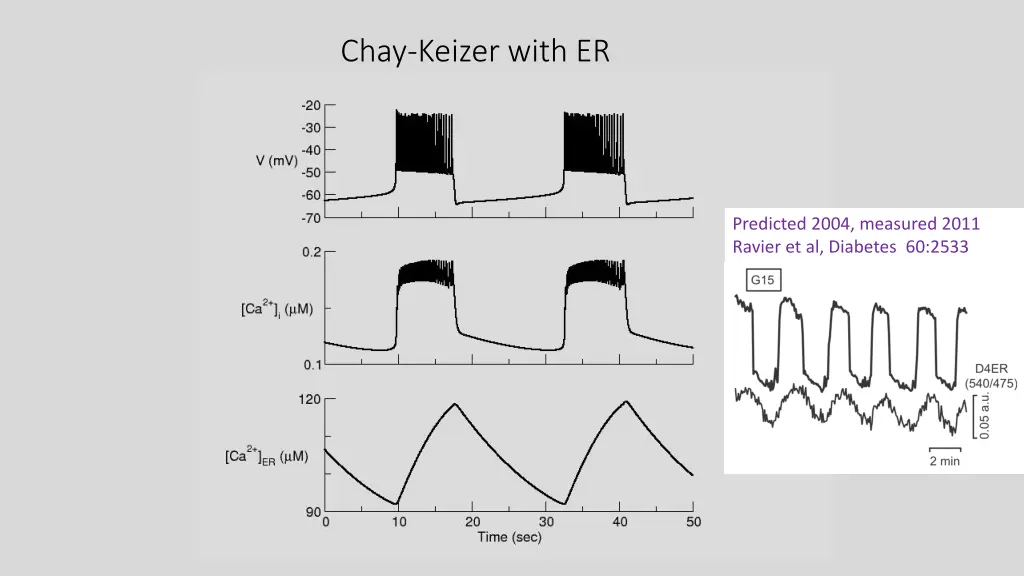 chay keizer with er
