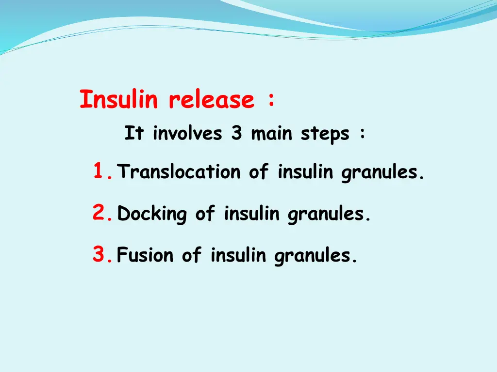 insulin release