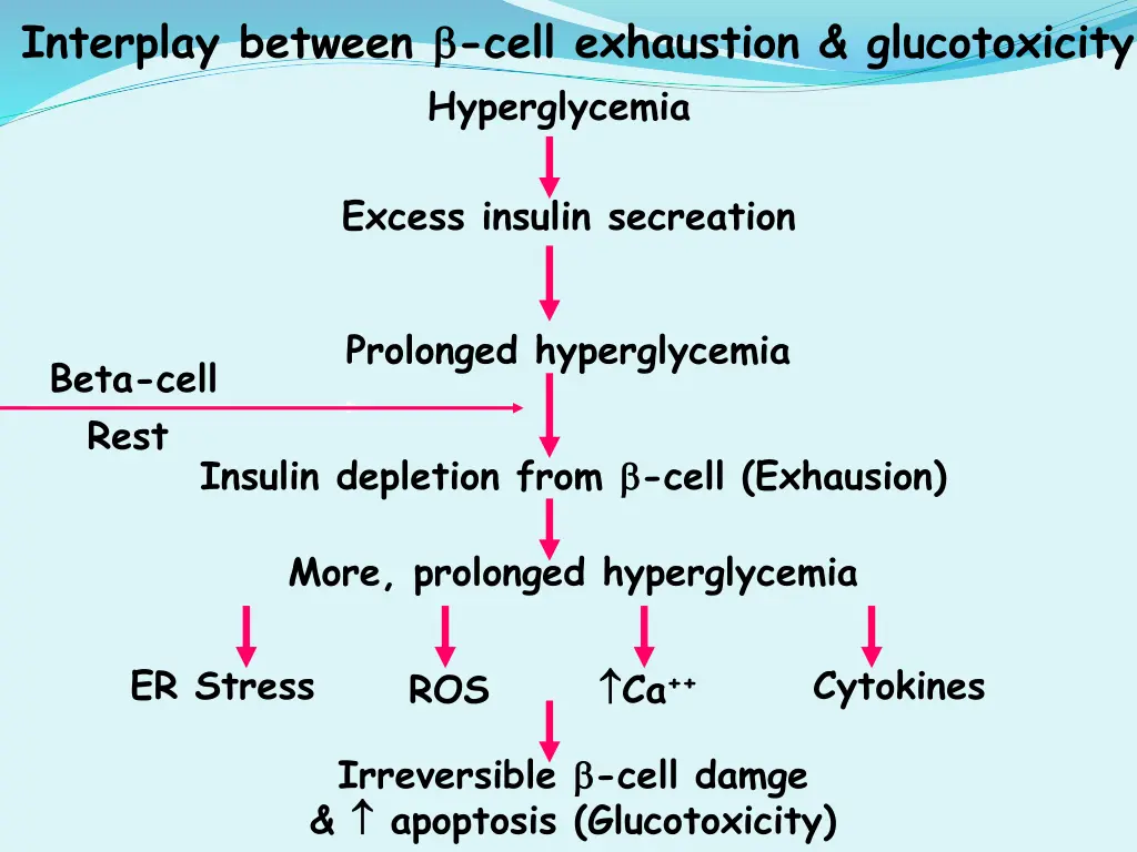 interplay between cell exhaustion glucotoxicity