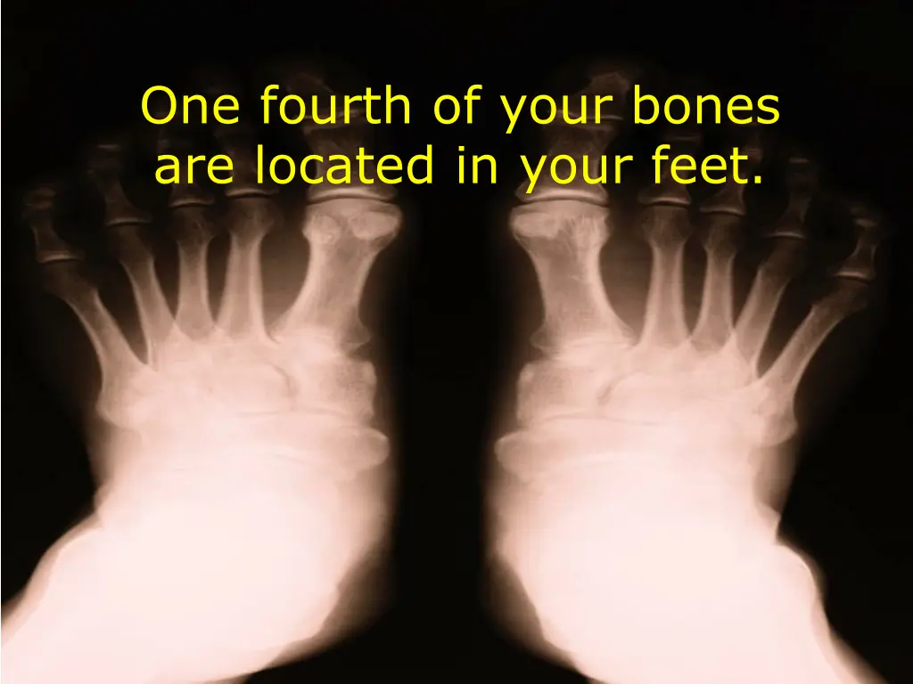 one fourth of your bones are located in your feet
