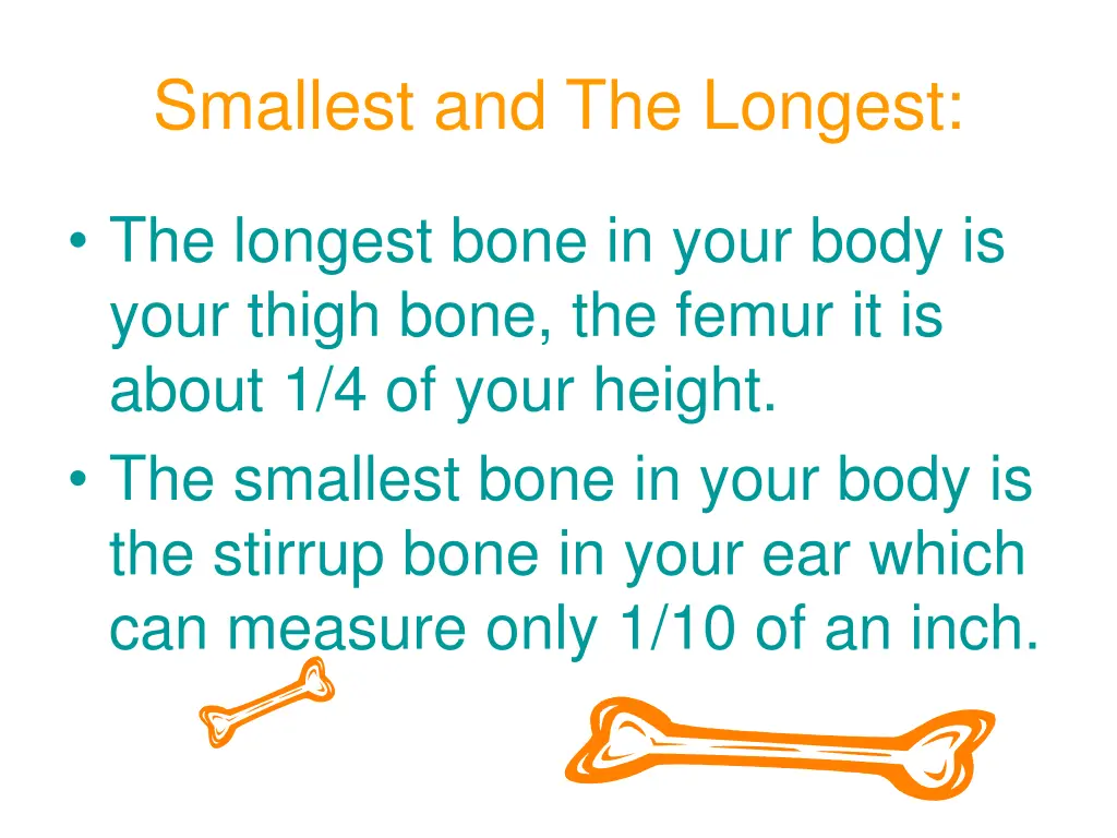 smallest and the longest