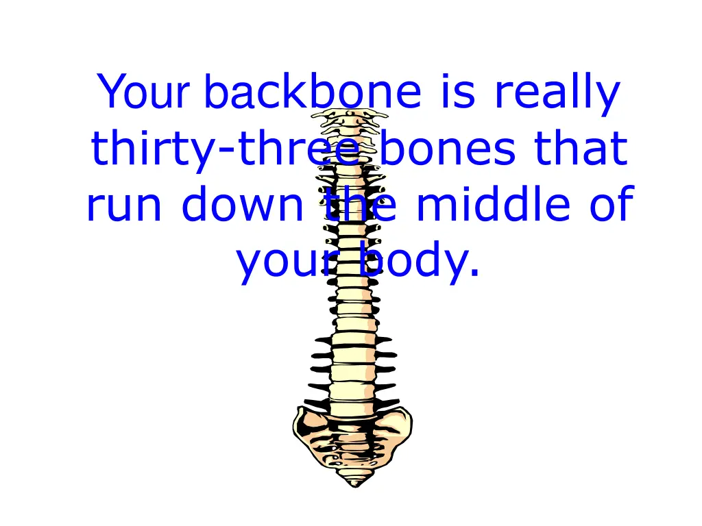 your ba ckbone is really thirty three bones that