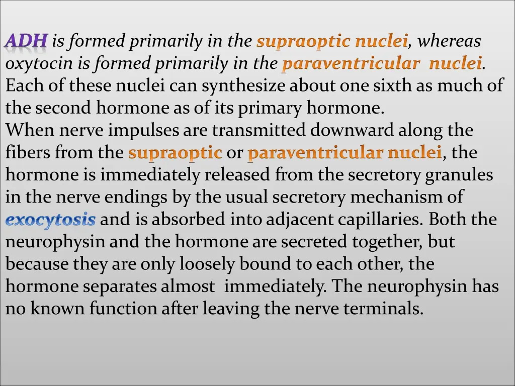 adh is formed primarily in the supraoptic nuclei