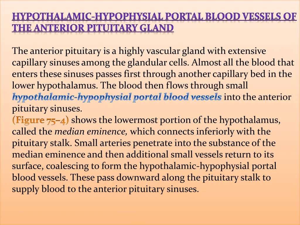 hypothalamic hypophysial portal blood vessels