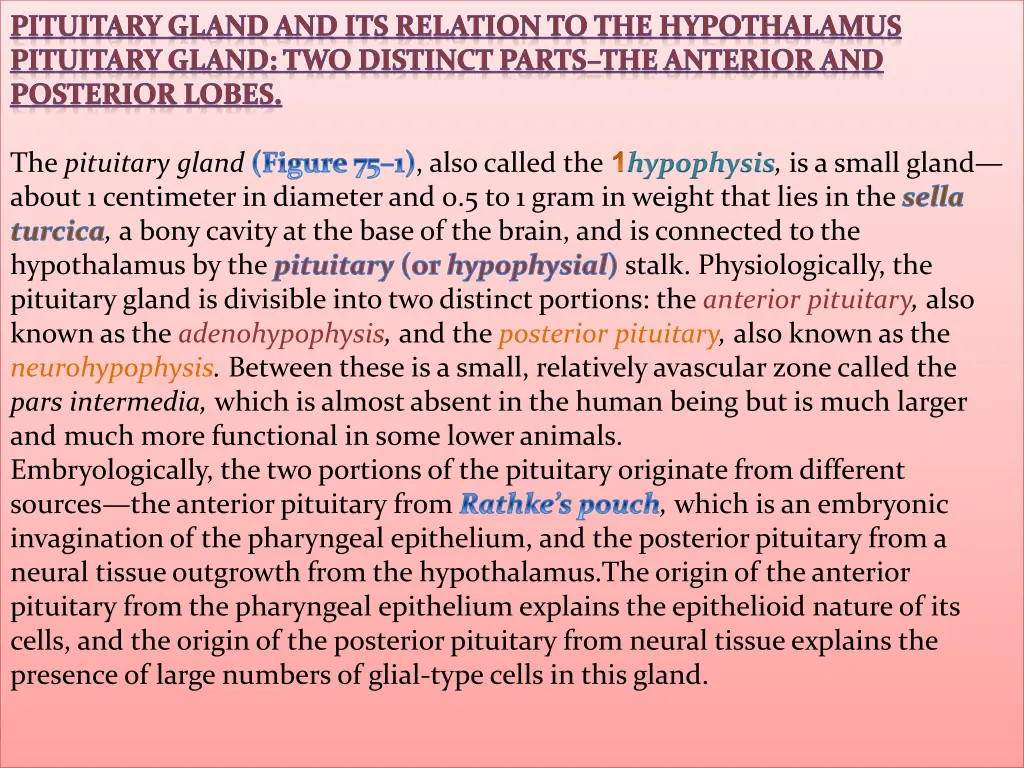 pituitary gland and its relation