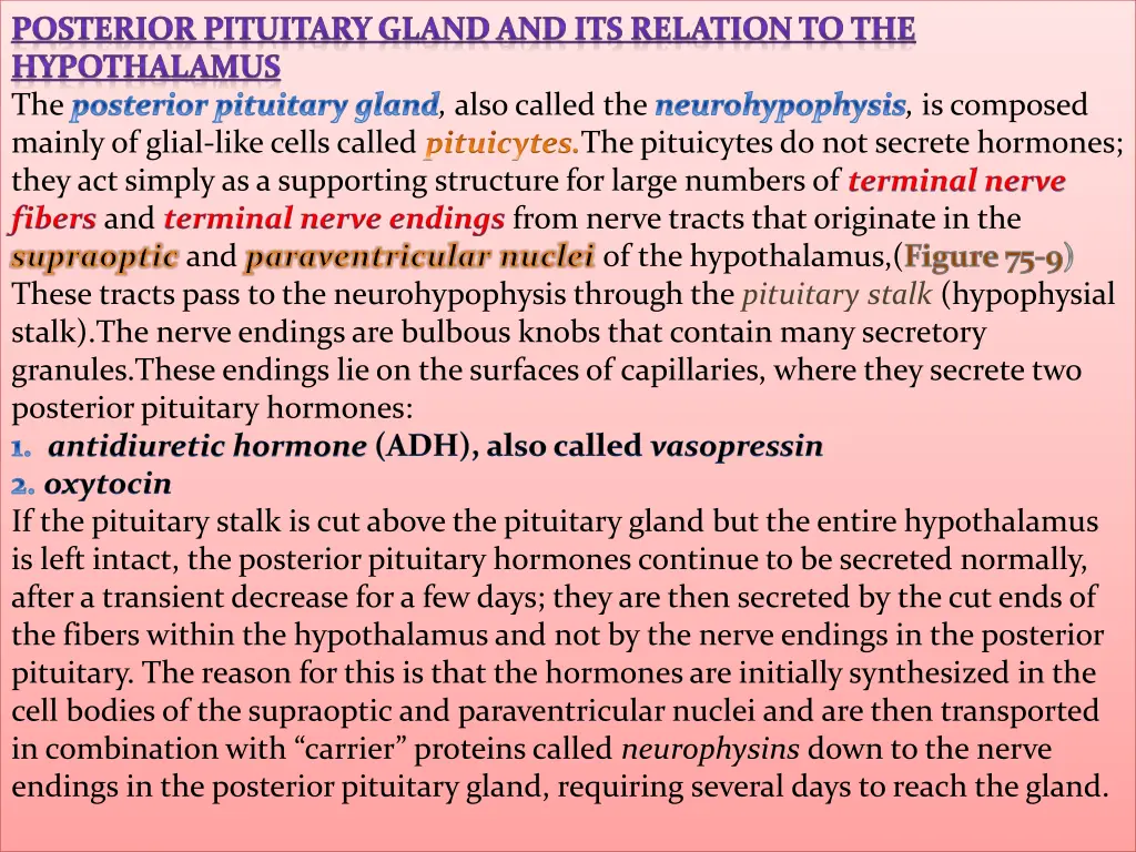 posterior pituitary gland and its relation