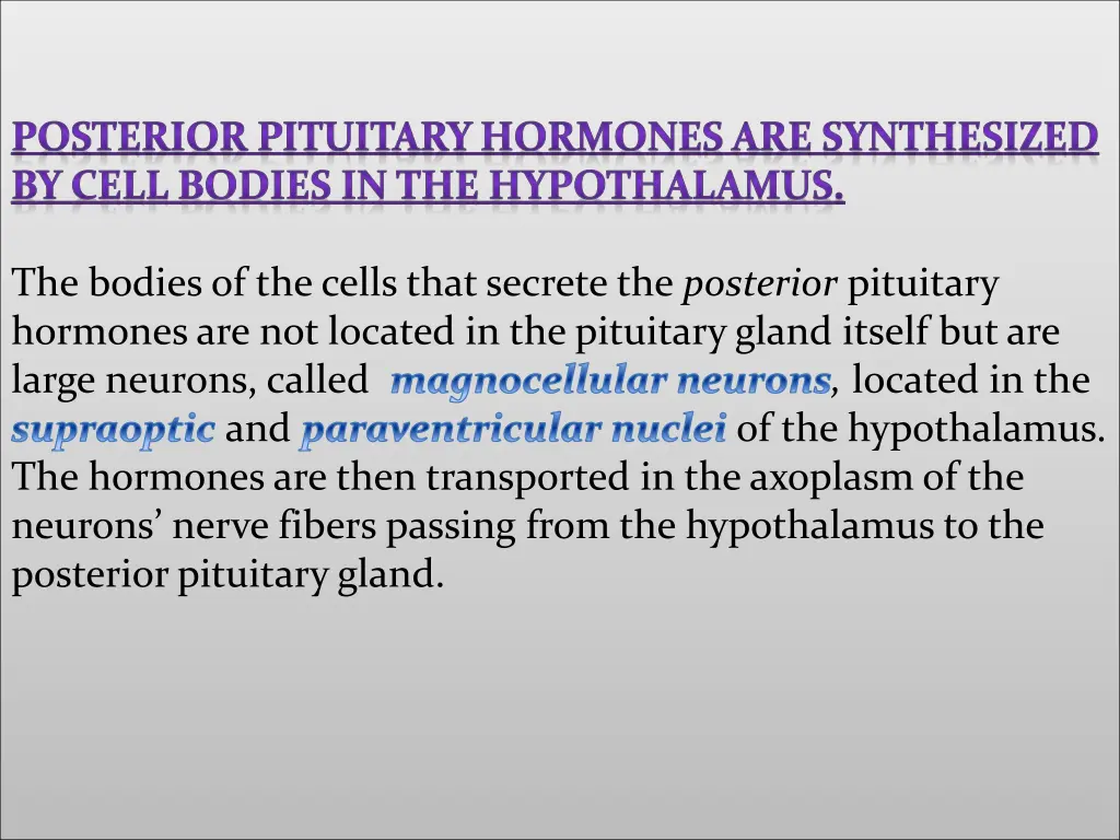 posterior pituitary hormones are synthesized