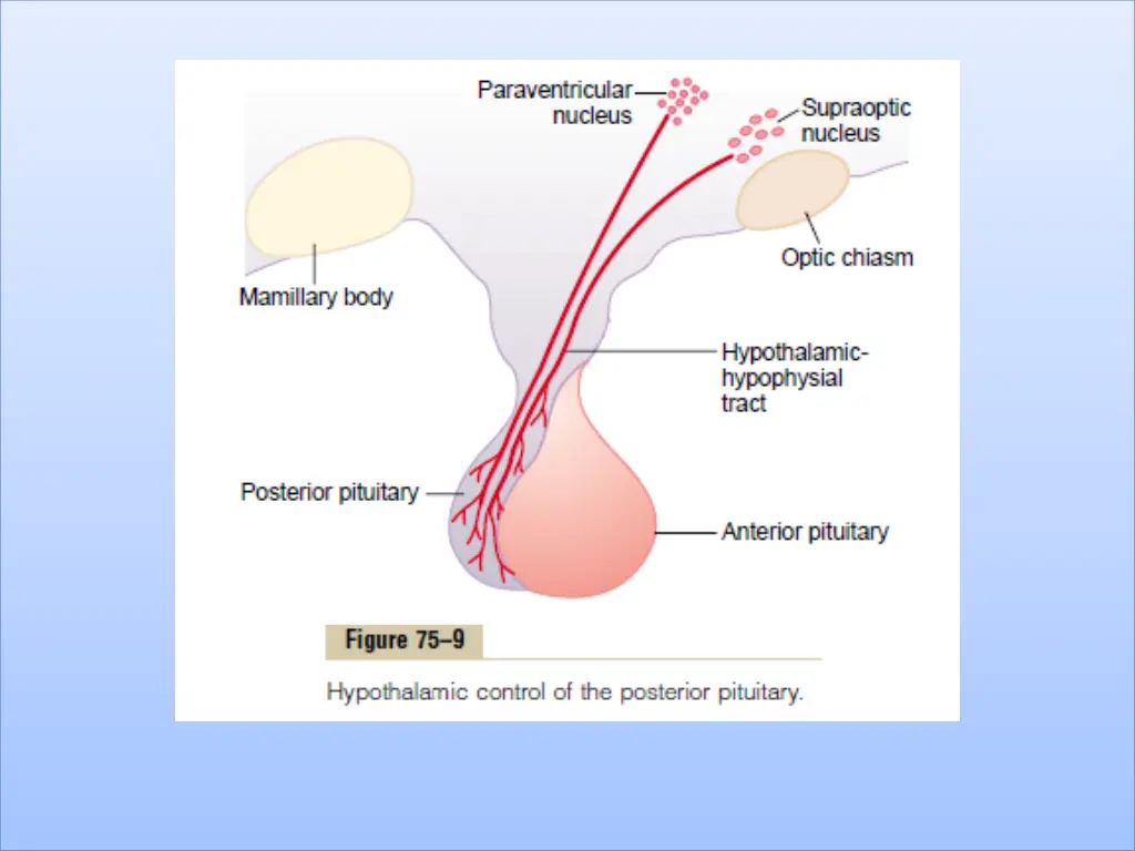 slide24