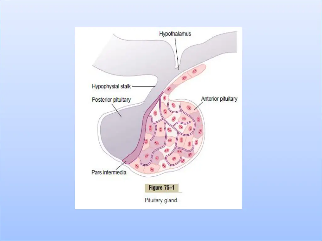 slide4